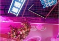 招聘通告文案（招聘启事文案创意重塑）