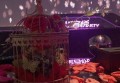 实习监理招聘文案（监理实习生招募启事）